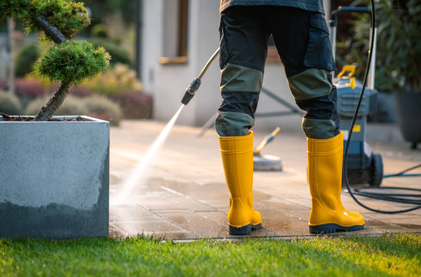Best Pressure Washing Company Near Me  in Rochester, WA